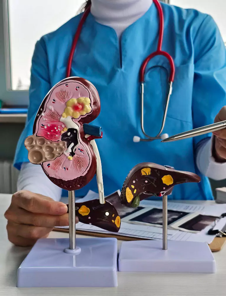 Kidney Health